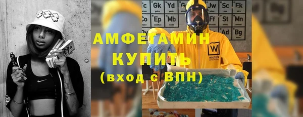 шишки Карпинск