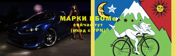 шишки Карпинск