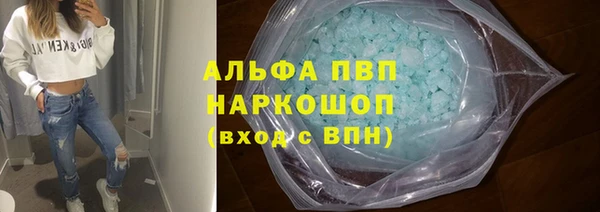 шишки Карпинск