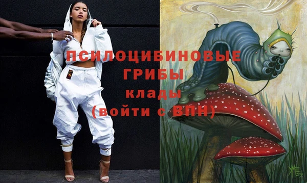 прущие грибы Кинешма