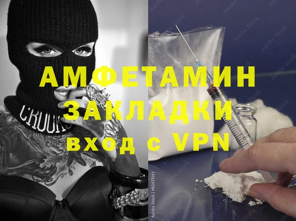 шишки Карпинск