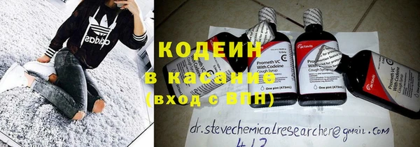 шишки Карпинск