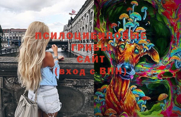 марки nbome Касимов