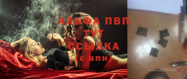 шишки Карпинск