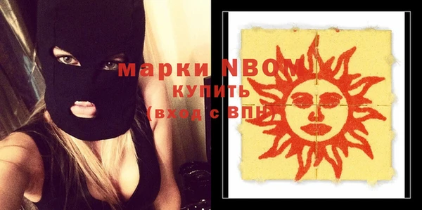 шишки Карпинск